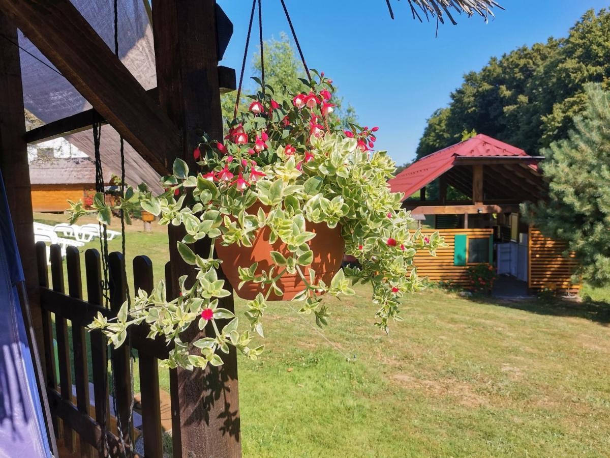 Camping Silva Ljutomer Exteriör bild