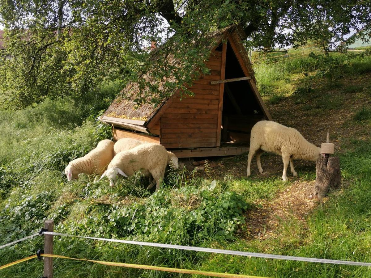 Camping Silva Ljutomer Exteriör bild