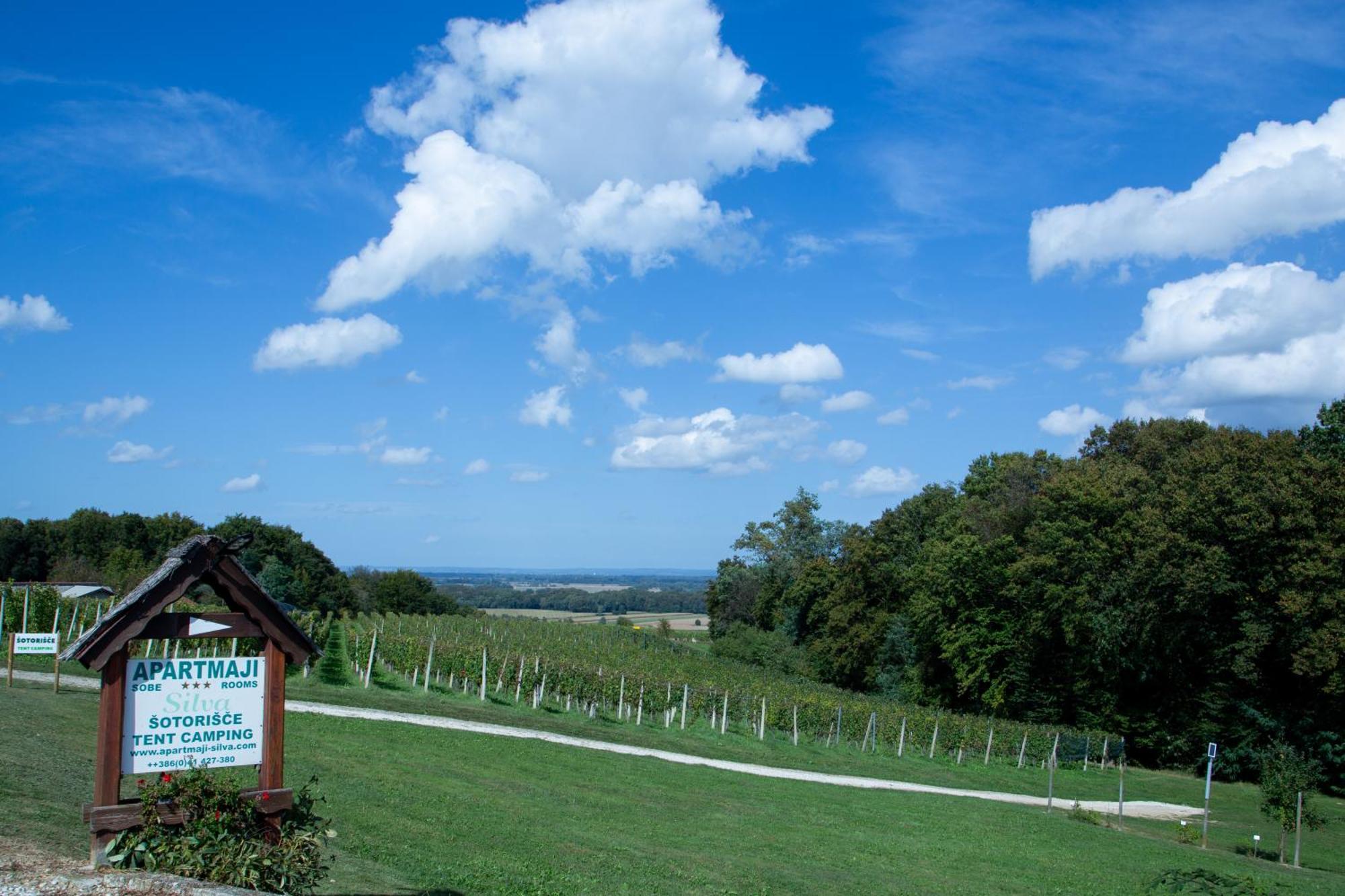 Camping Silva Ljutomer Exteriör bild