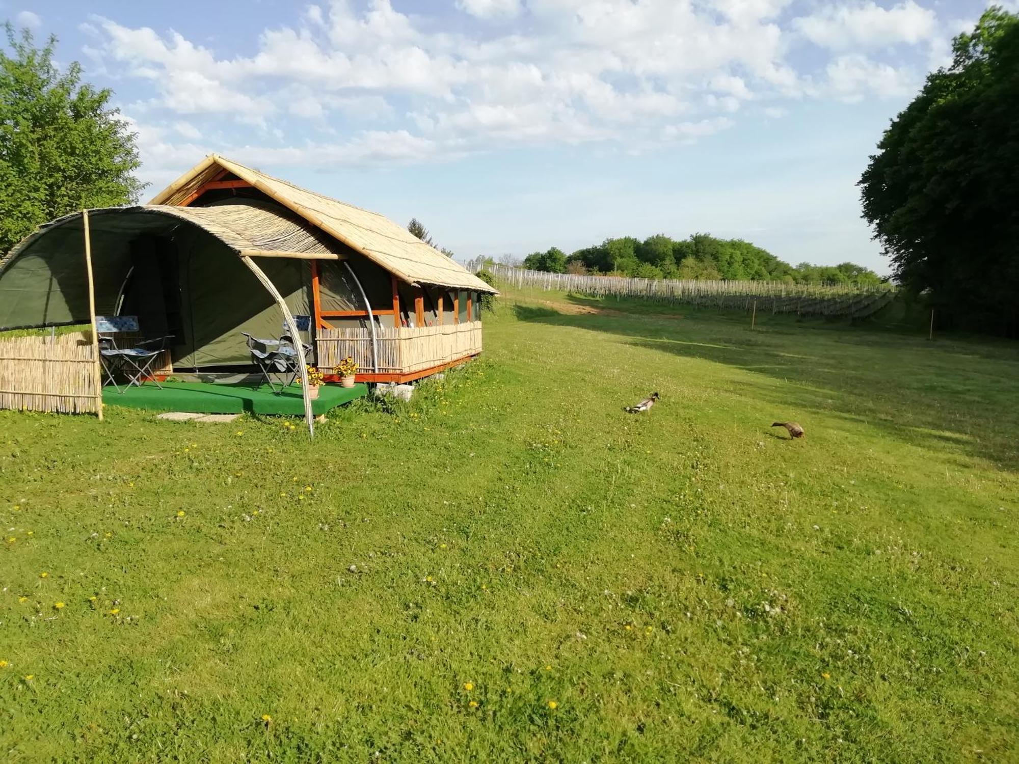 Camping Silva Ljutomer Exteriör bild
